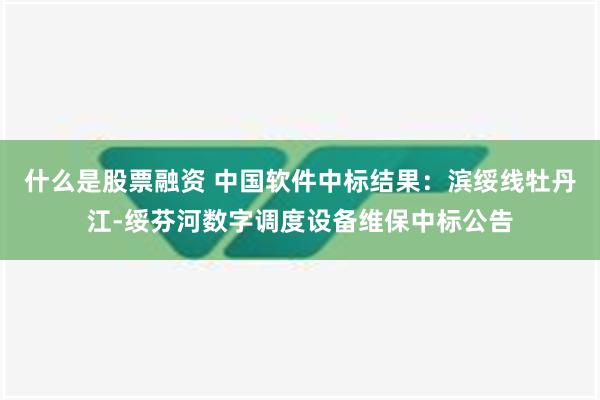 什么是股票融资 中国软件中标结果：滨绥线牡丹江-绥芬河数字调度设备维保中标公告