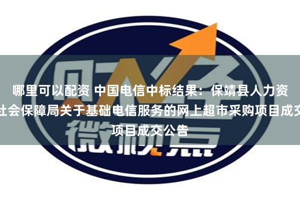 哪里可以配资 中国电信中标结果：保靖县人力资源和社会保障局关于基础电信服务的网上超市采购项目成交公告