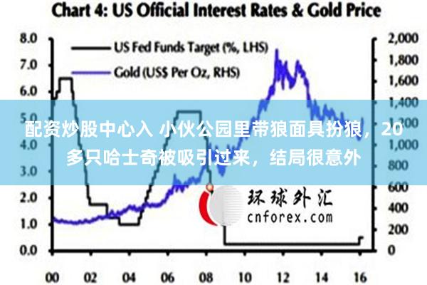 配资炒股中心入 小伙公园里带狼面具扮狼，20多只哈士奇被吸引过来，结局很意外