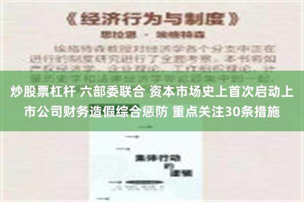 炒股票杠杆 六部委联合 资本市场史上首次启动上市公司财务造假综合惩防 重点关注30条措施