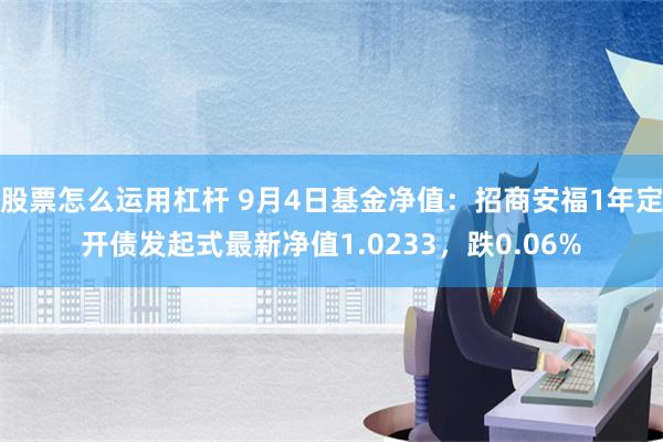 股票怎么运用杠杆 9月4日基金净值：招商安福1年定开债发起式最新净值1.0233，跌0.06%