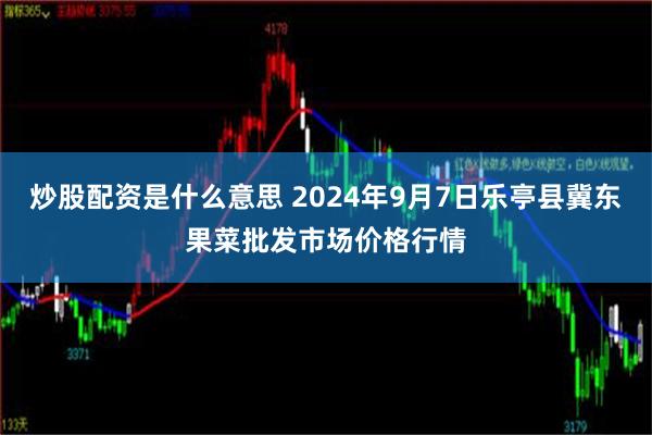 炒股配资是什么意思 2024年9月7日乐亭县冀东果菜批发市场价格行情