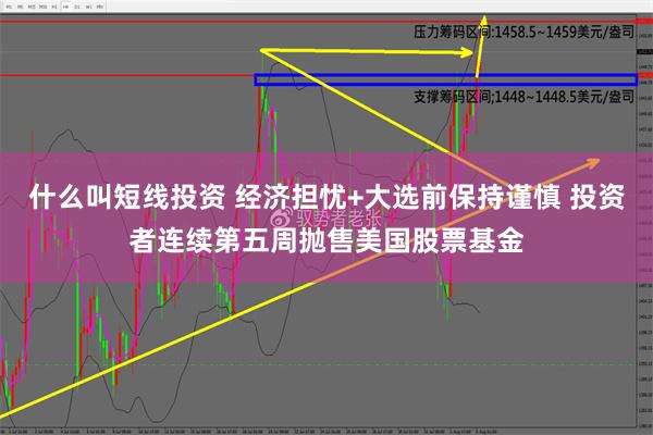 什么叫短线投资 经济担忧+大选前保持谨慎 投资者连续第五周抛售美国股票基金