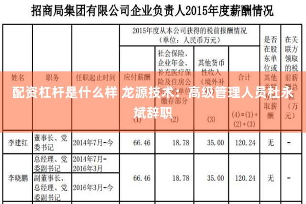 配资杠杆是什么样 龙源技术：高级管理人员杜永斌辞职