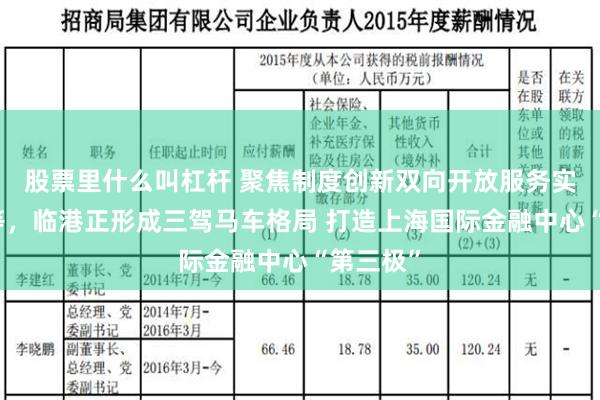 股票里什么叫杠杆 聚焦制度创新双向开放服务实体经济等，临港正形成三驾马车格局 打造上海国际金融中心“第三极”