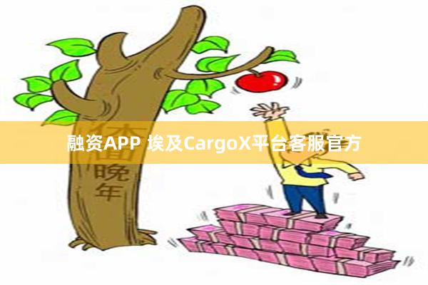 融资APP 埃及CargoX平台客服官方